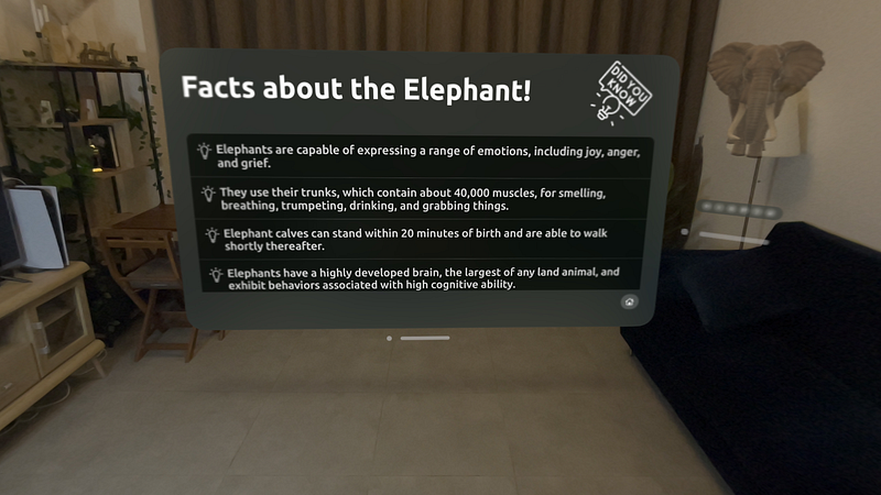 Zoo - Explore & Learn